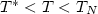 $T^\ast < T < T_{N}$
