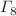 $$\varGamma _8$$