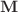$$\mathbf {M}$$