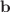 $$\mathbf {b}$$