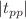 $$\left|{{\varvec{t}}}_{{\varvec{p}}{\varvec{p}}}\right|$$