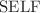 $$\text{SELF}$$