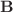$$\textbf{B}$$