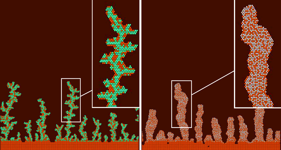 Graphical abstract