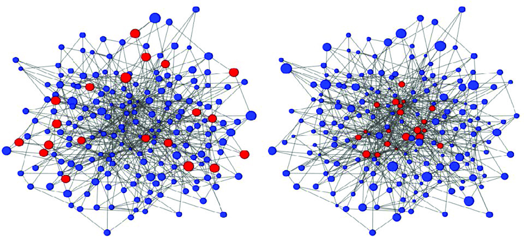 Graphical abstract