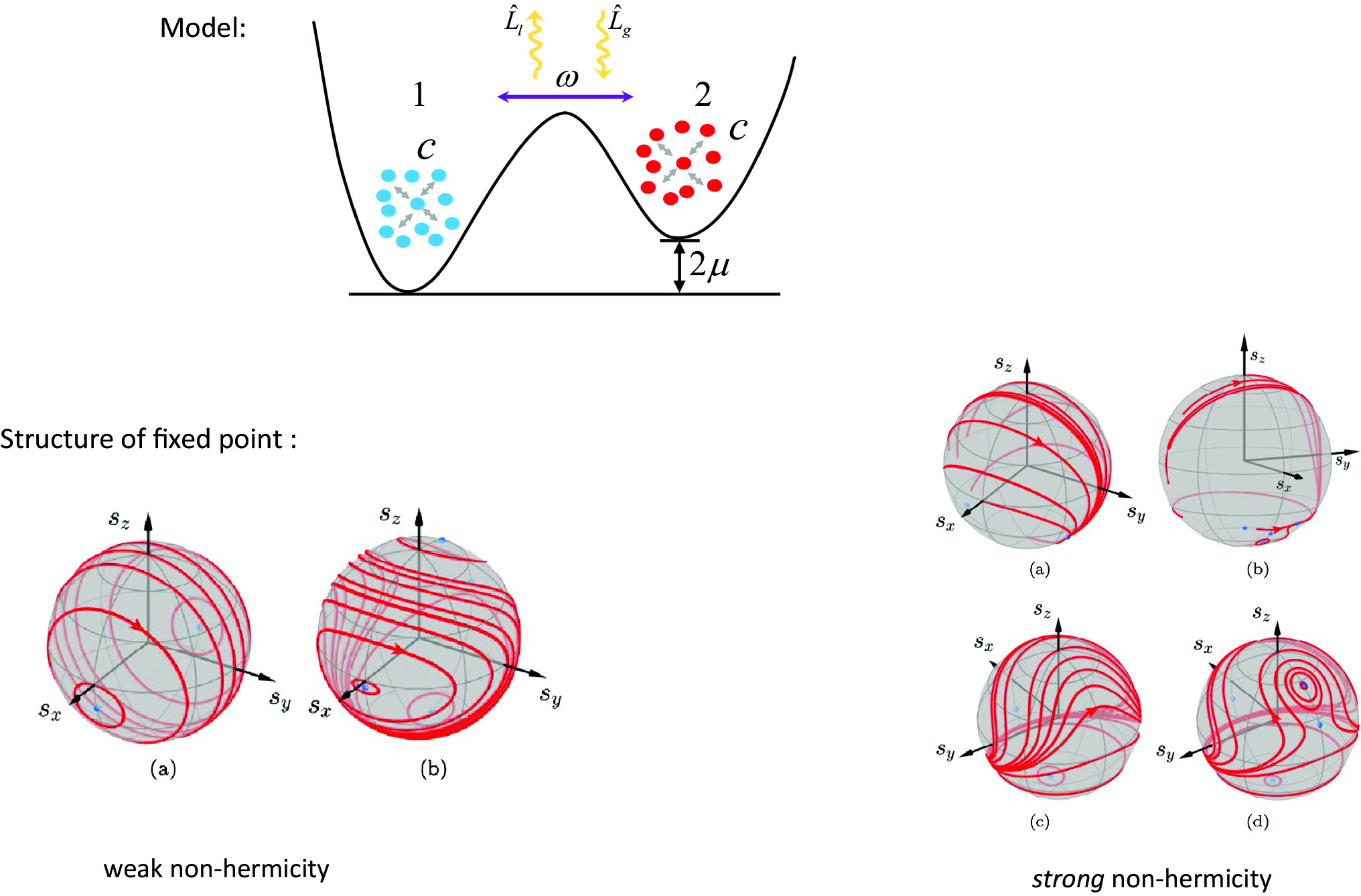 Graphical abstract