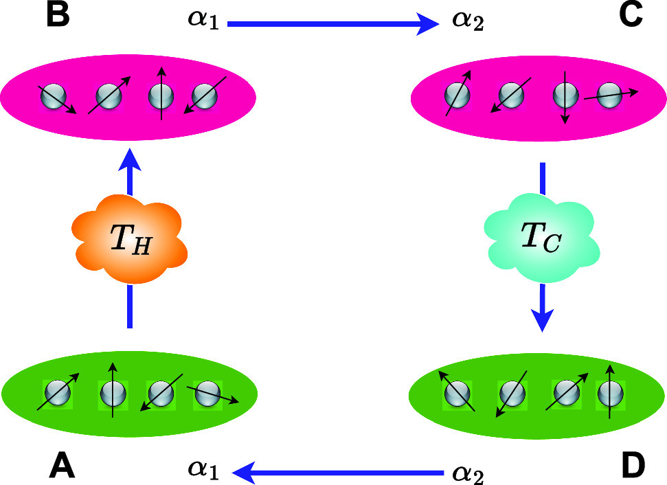 Graphical abstract