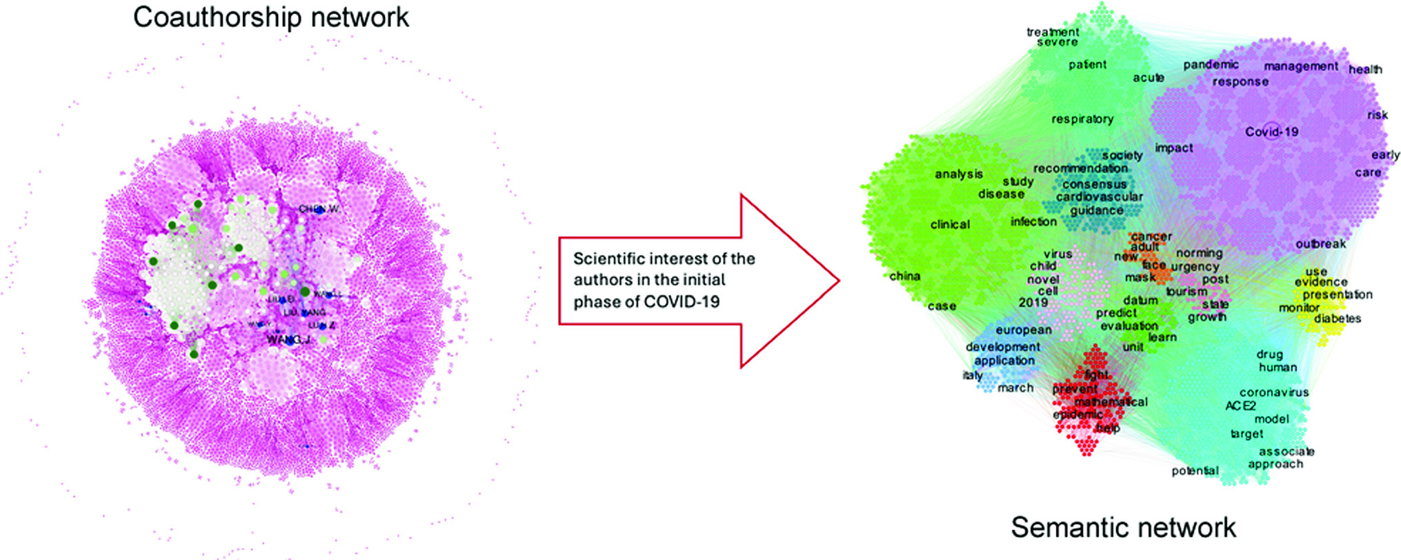 Graphical abstract
