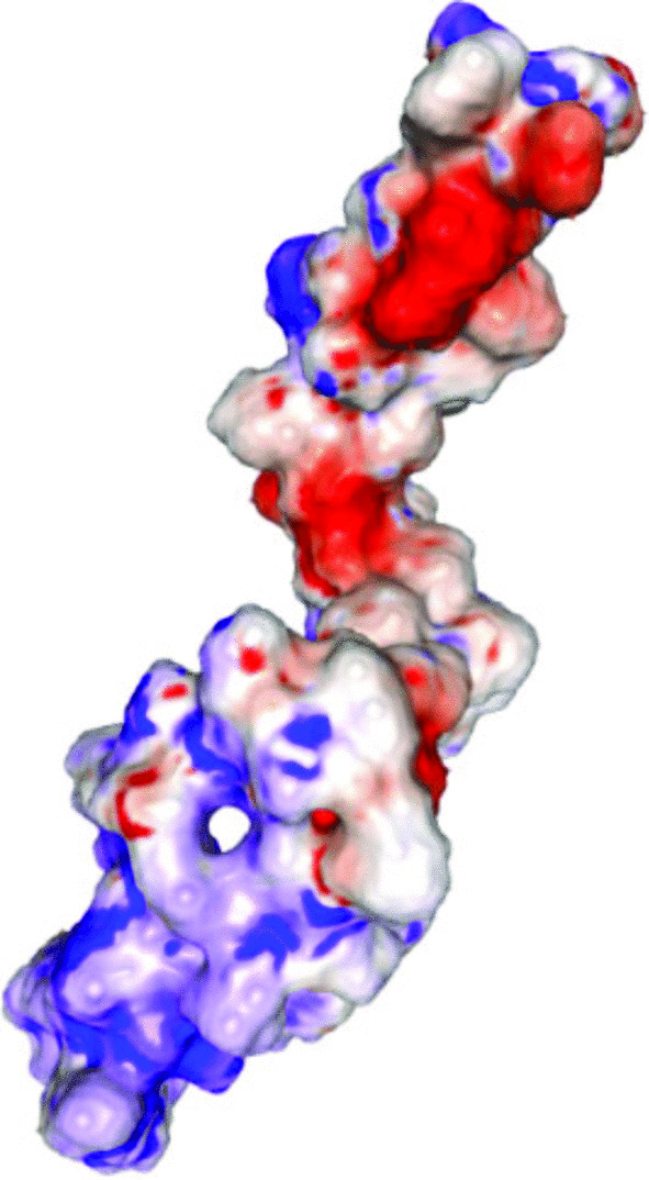 Graphical abstract